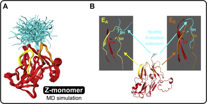 Figure 9