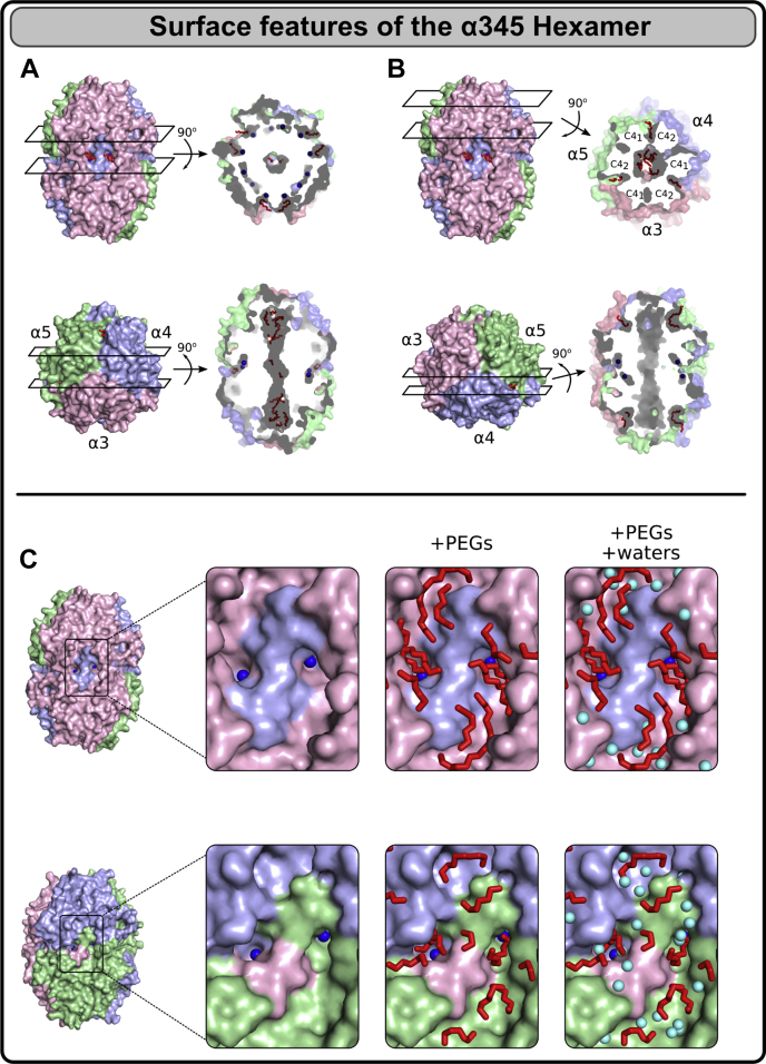 Figure 6