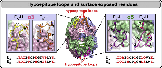 Figure 7