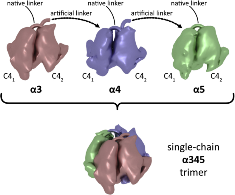 Figure 2