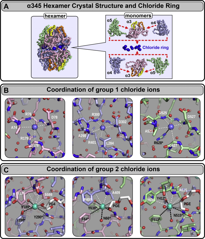 Figure 5