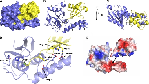 FIGURE 3.