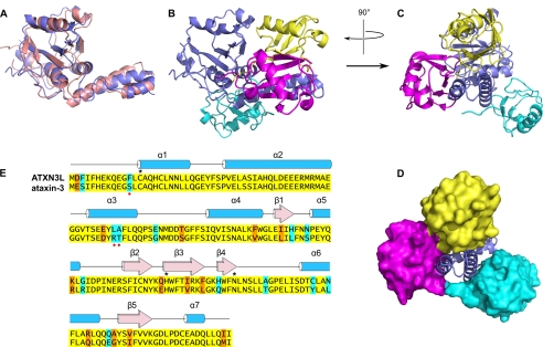 FIGURE 5.