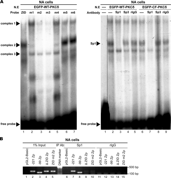 FIG. 3.