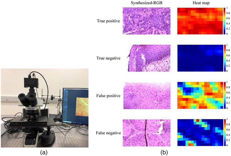 Fig. 12