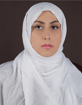 graphic file with name GCH2-8-2300052-g009.gif