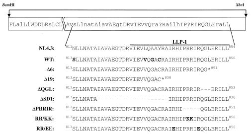 FIG. 1