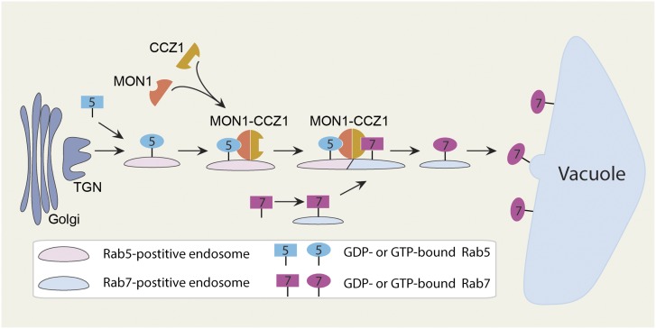 Figure 10.