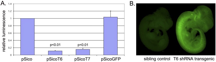 Fig. S1.