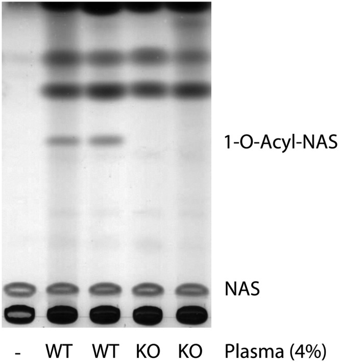 Fig. 4.