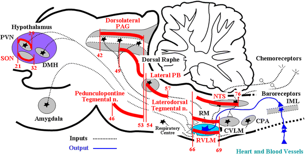 Fig. 19