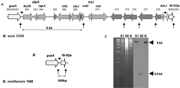 FIG. 1.