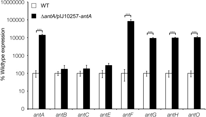 Figure 6