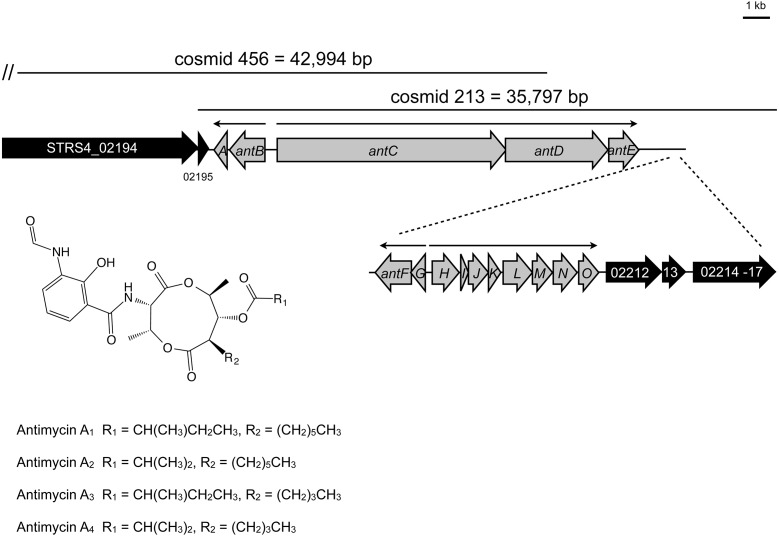 Figure 1