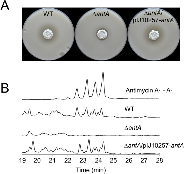 Figure 4