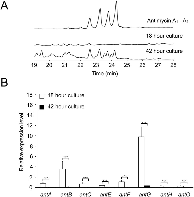 Figure 3