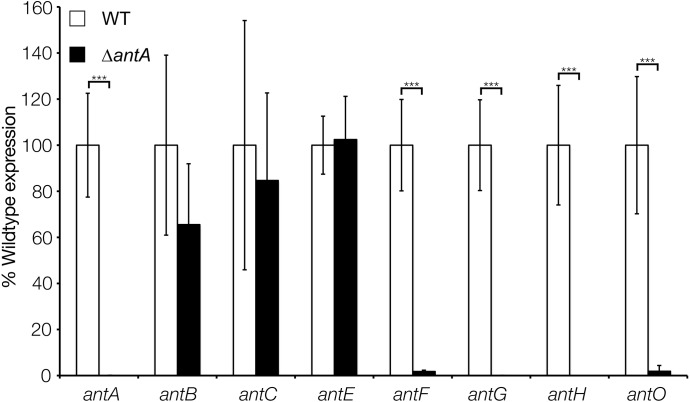 Figure 5