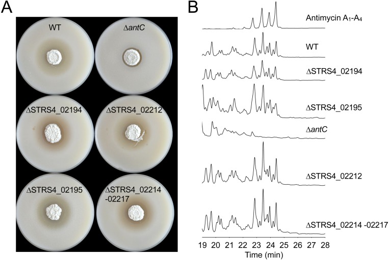 Figure 2