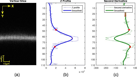 Fig. 12