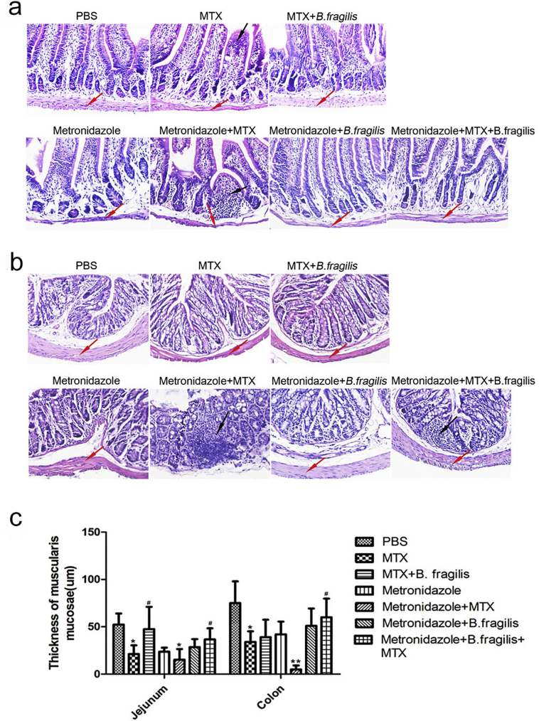 Supplementary Fig. 9