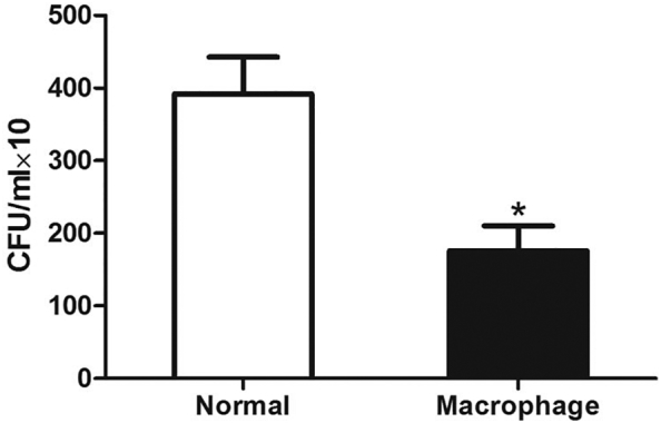 Supplementary Fig. 6