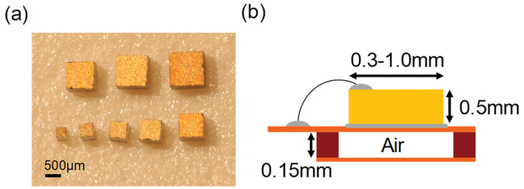 Fig. 10.