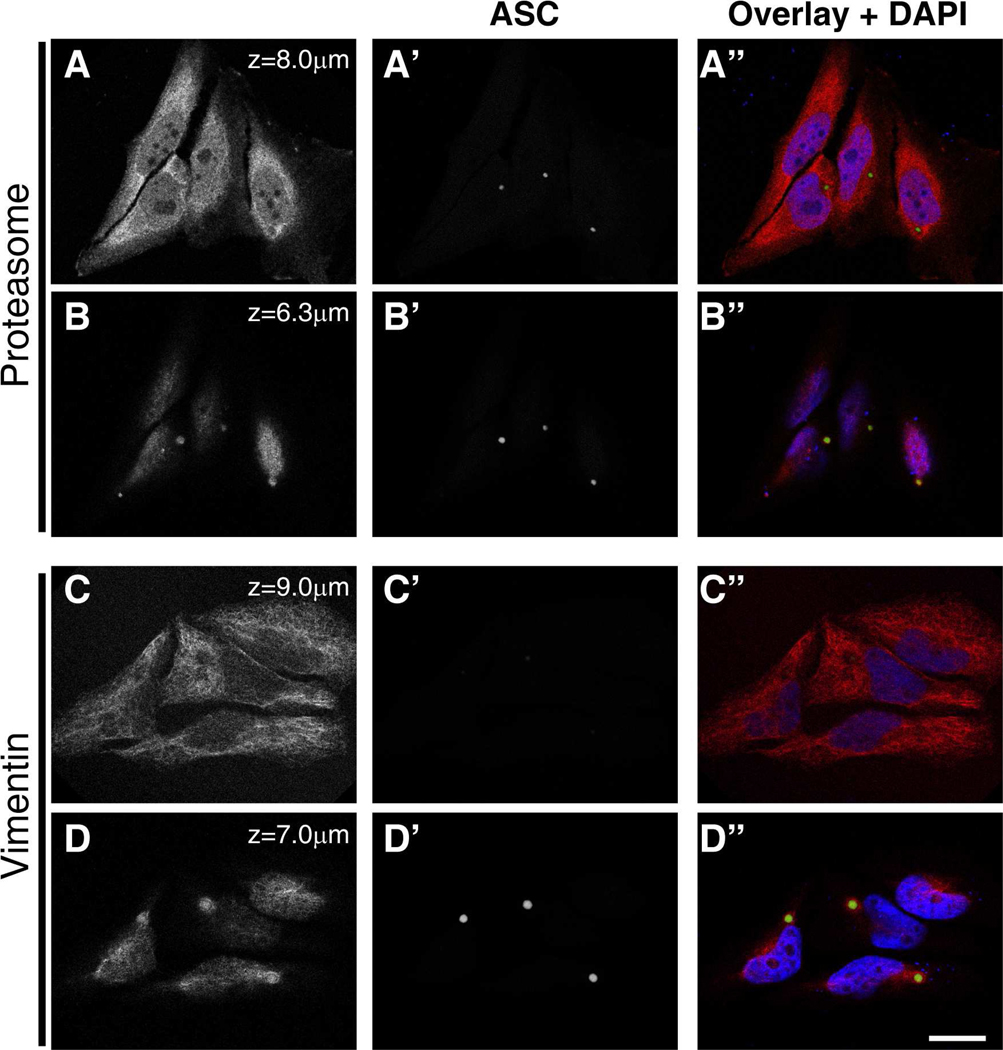 Figure 2: