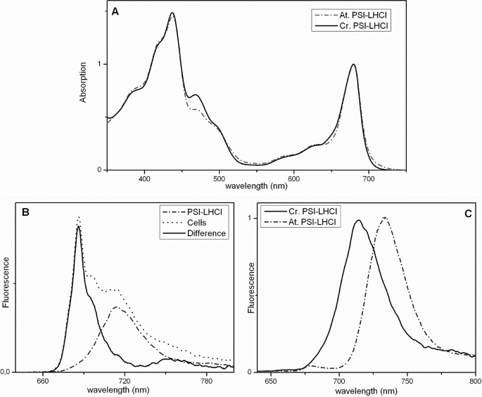 FIGURE 2.