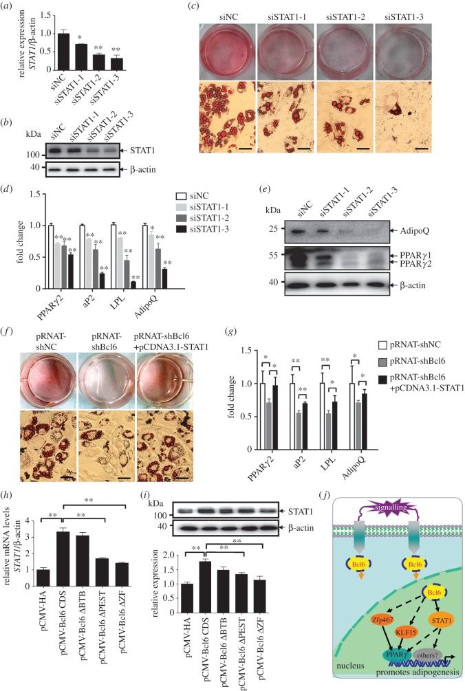 Figure 6.