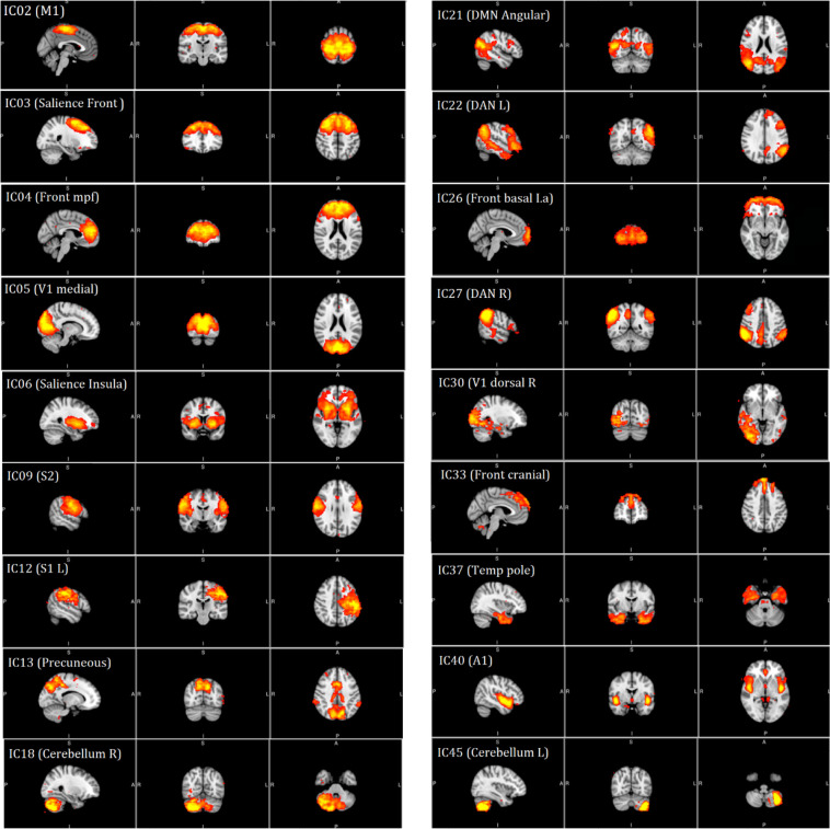 Figure 2