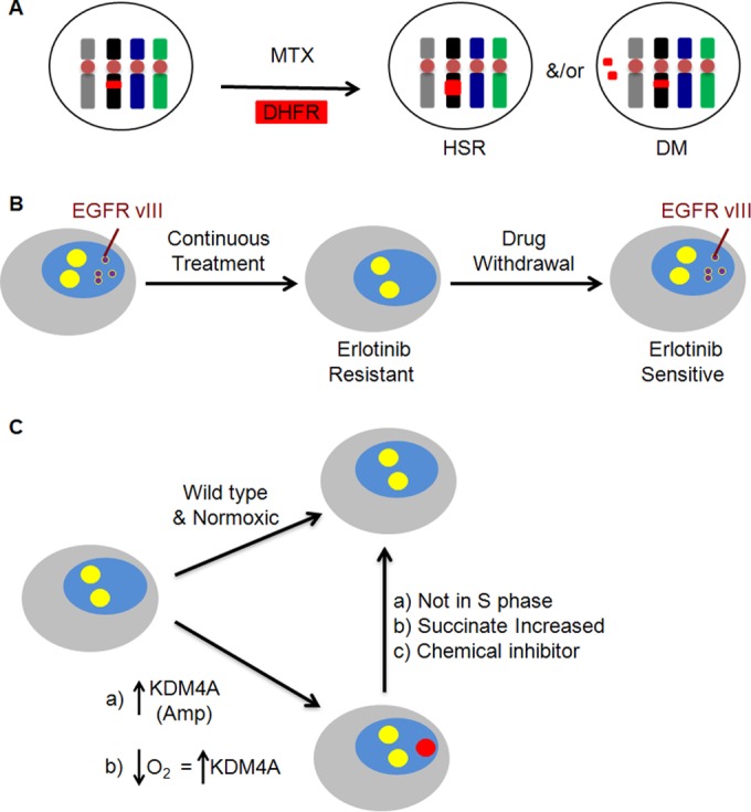 FIG 3