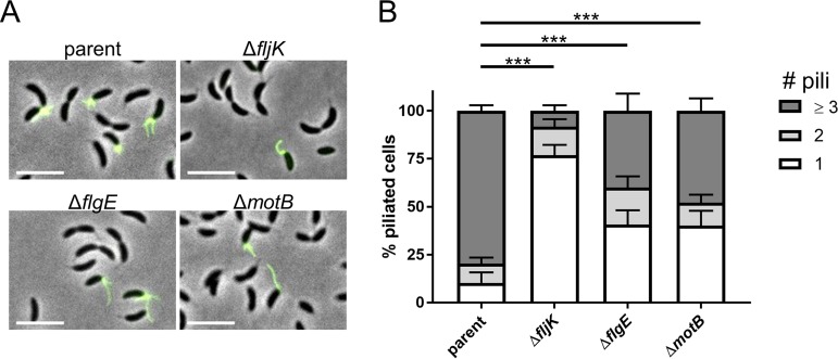 FIG 4