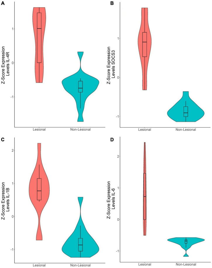 FIGURE 4