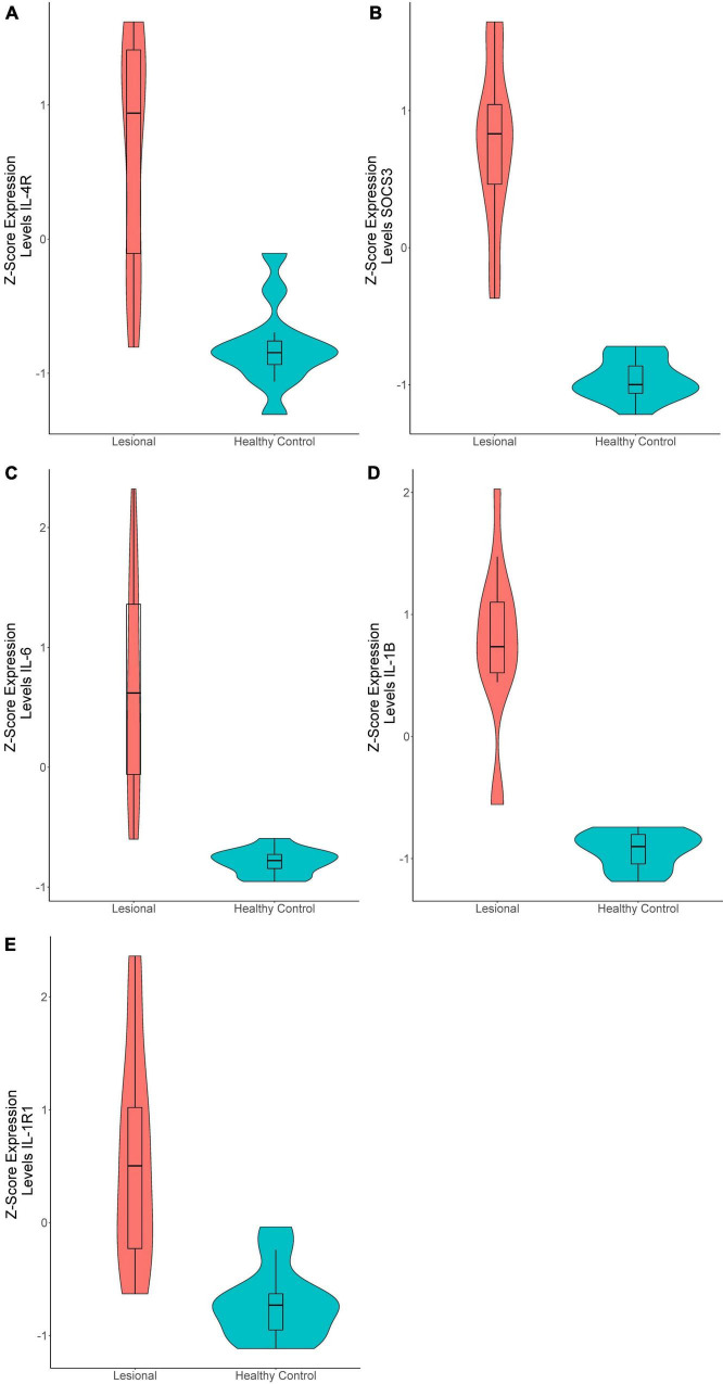 FIGURE 1