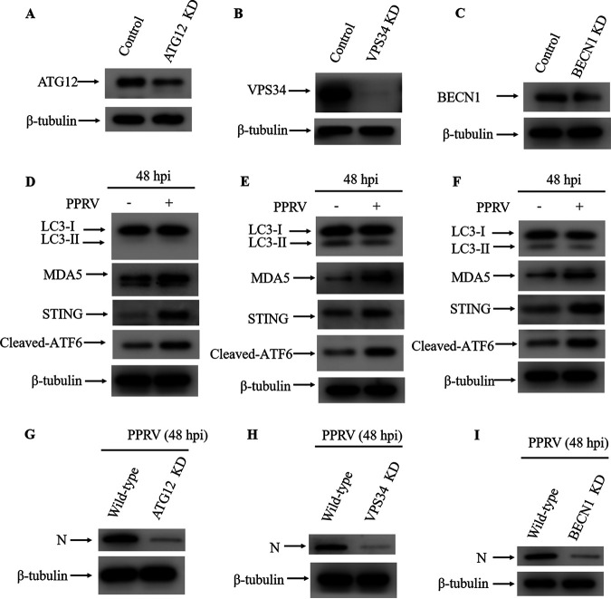 FIG 10