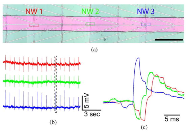 Fig. 14