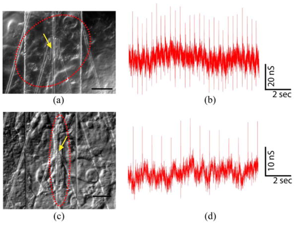 Fig. 12