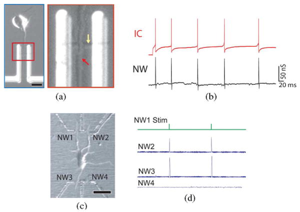 Fig. 7