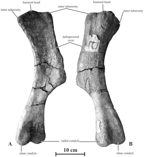 Figure 16