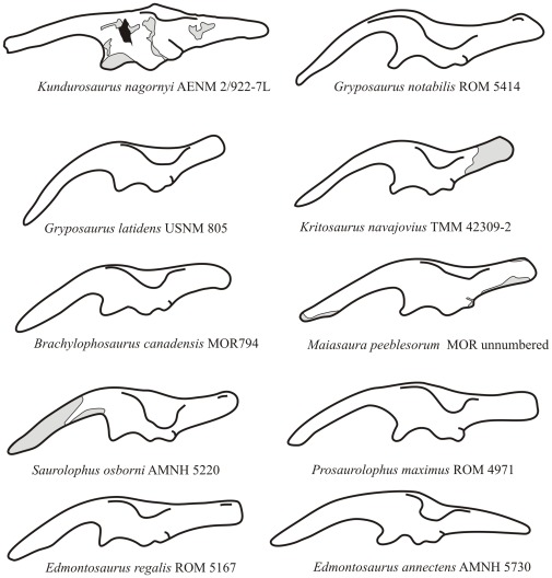 Figure 19