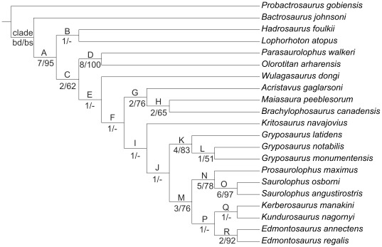 Figure 20