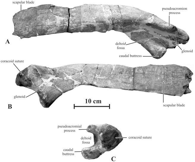 Figure 14