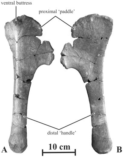 Figure 15