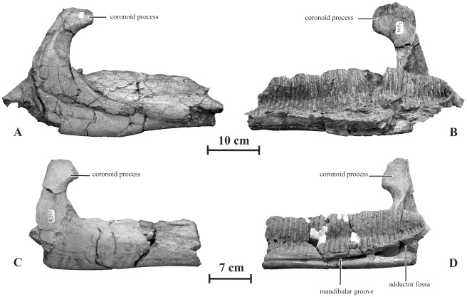 Figure 12