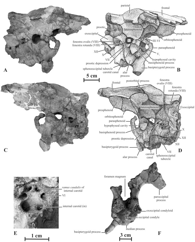 Figure 11