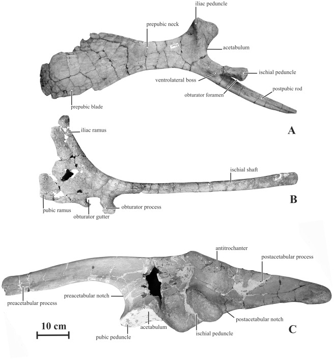 Figure 18