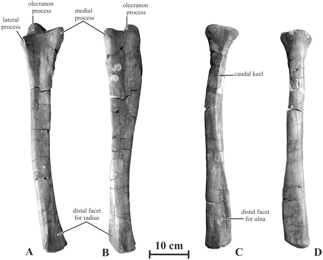 Figure 17