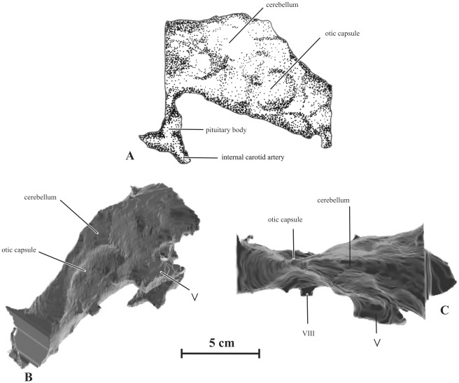 Figure 13