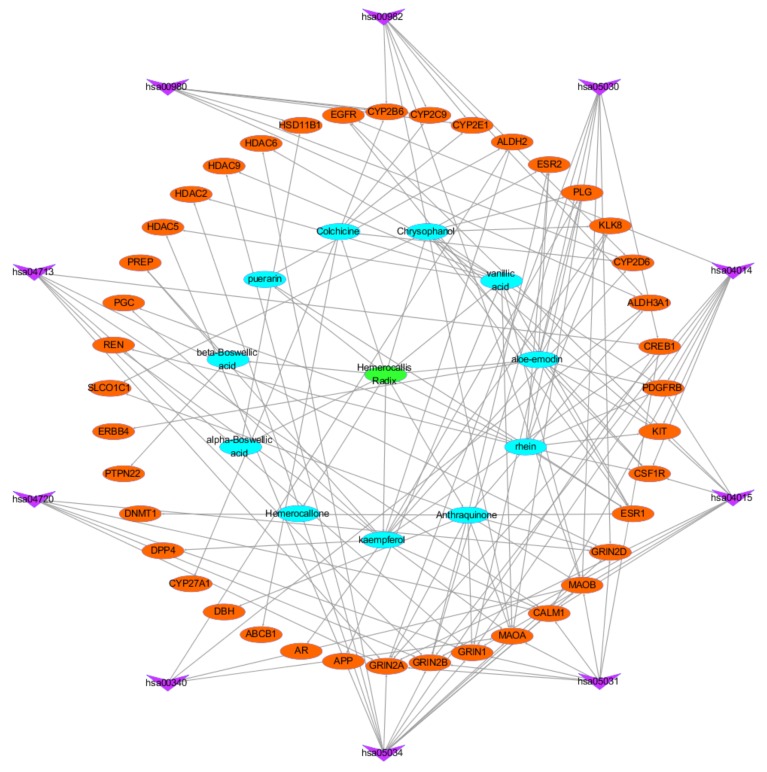 Figure 13