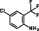 graphic file with name 41021_2022_238_Figs_HTML.gif